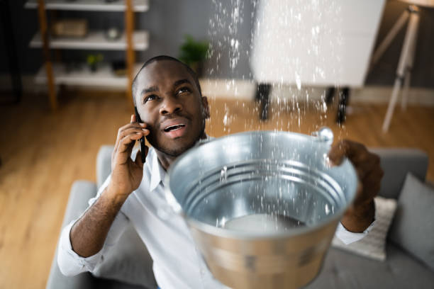 Best Professional water damage repair  in Liverpool, NY